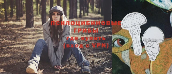 круглые Алзамай