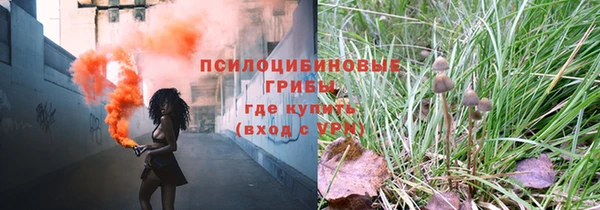 круглые Алзамай