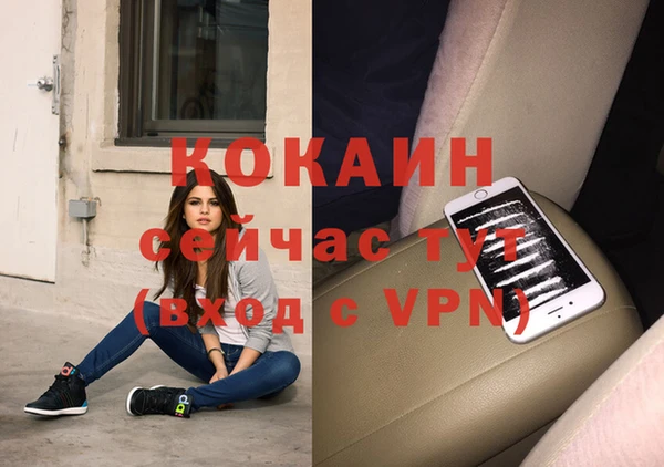 дживик Алексин
