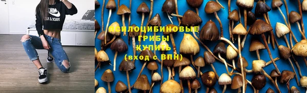 дживик Алексин