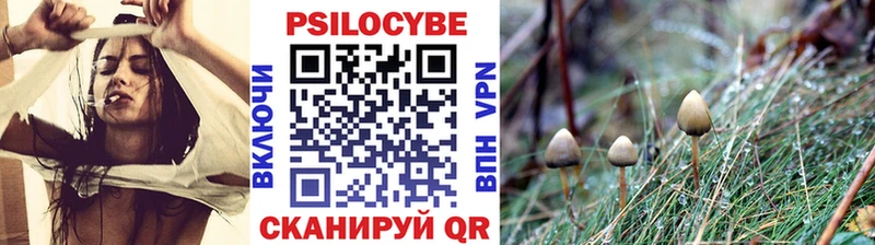 Псилоцибиновые грибы прущие грибы  Юрьевец 
